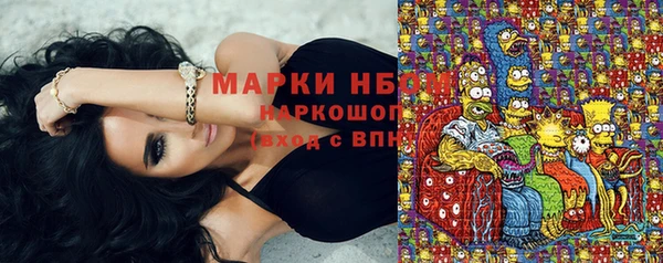 шишки Алзамай