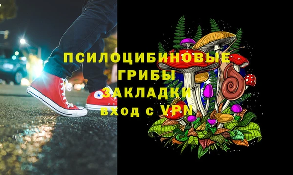 шишки Алзамай