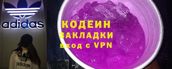 шишки Алзамай