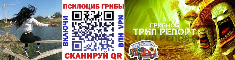 Галлюциногенные грибы ЛСД  купить наркоту  гидра как войти  Жигулёвск 